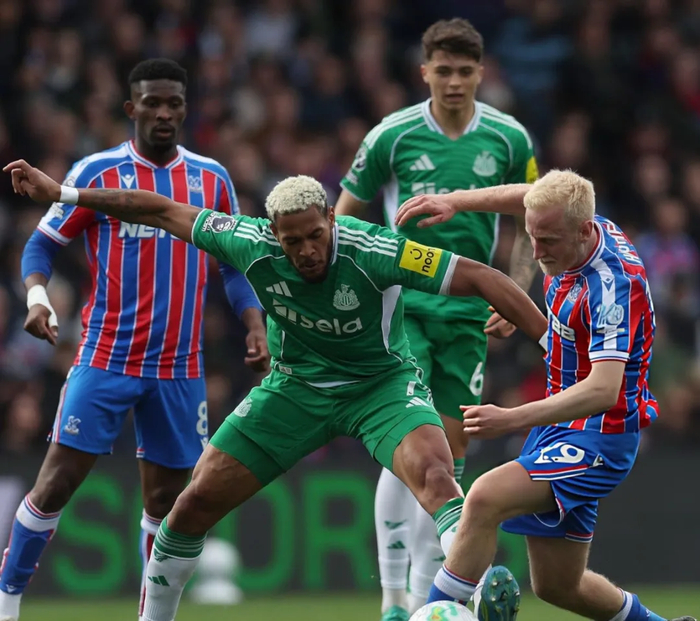 阿森纳U15力克浙江FCU15夺冠 威尔谢尔率队登顶温